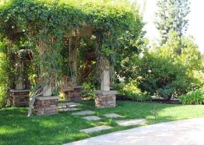 Tree Removal Villa Park CA